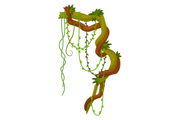 Creeper Branch on Twisted Jungle Tree Graphics & Illustrations