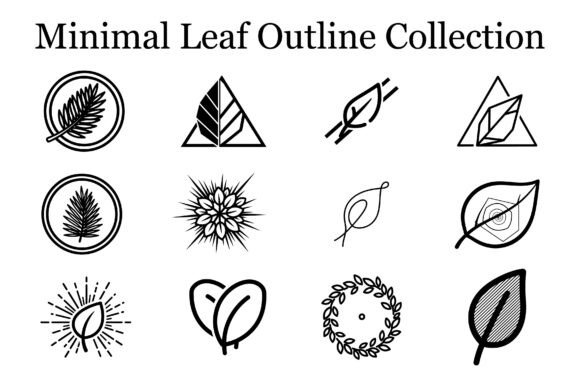 Minimal Leaf Outline Collection: Graphics & Illustrations